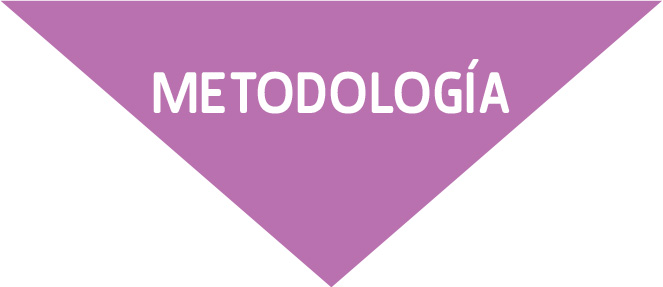 metodologia